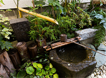 JAPANESE GARDEN