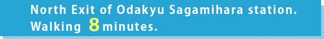 From the North Exit of Odakyu Sagamihara station.